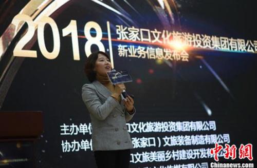 张家口文化旅游投资集团_北京传媒文化有限公司_张家口京张文化传媒有限公司