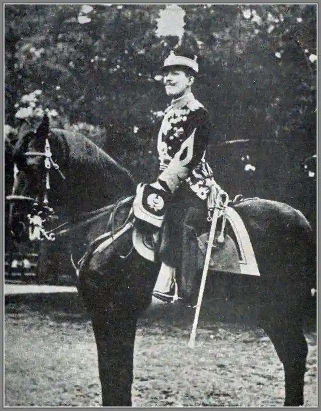 裕仁天皇传_大正天皇脑膜炎后遗症_日本大正天皇病况公布