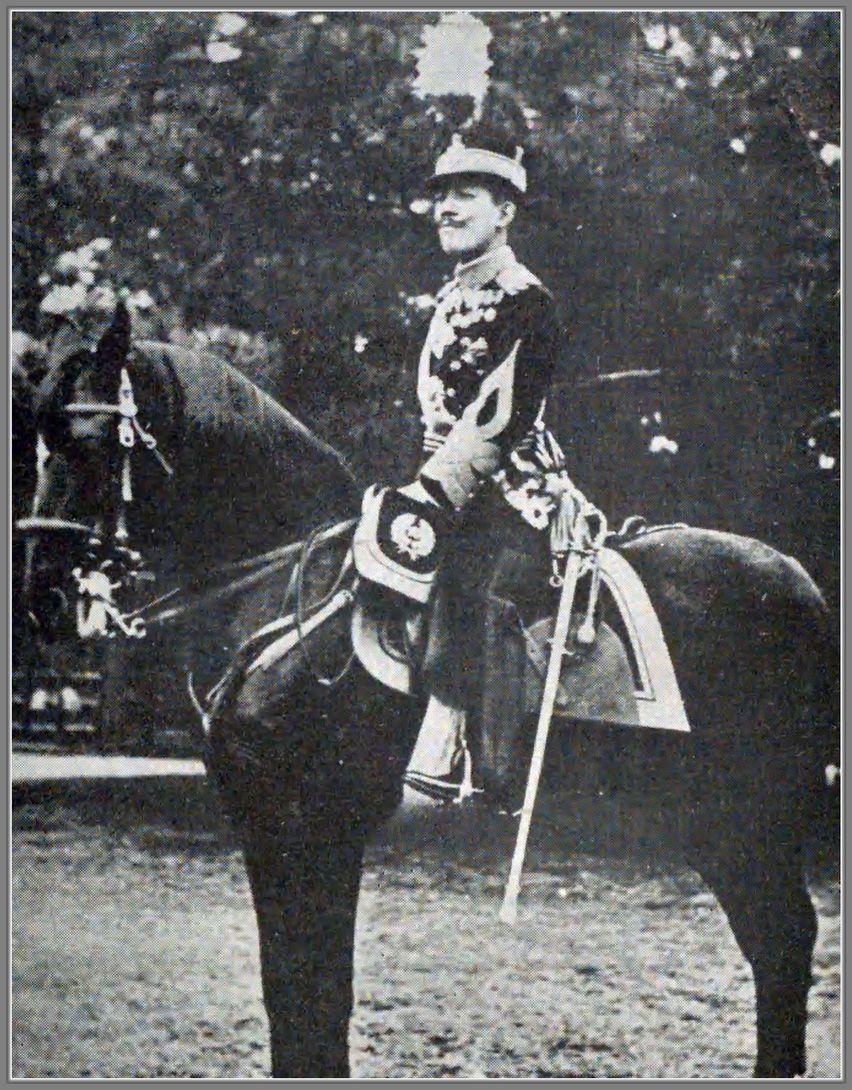 裕仁天皇传_大正天皇脑膜炎_日本天皇病况公布历史