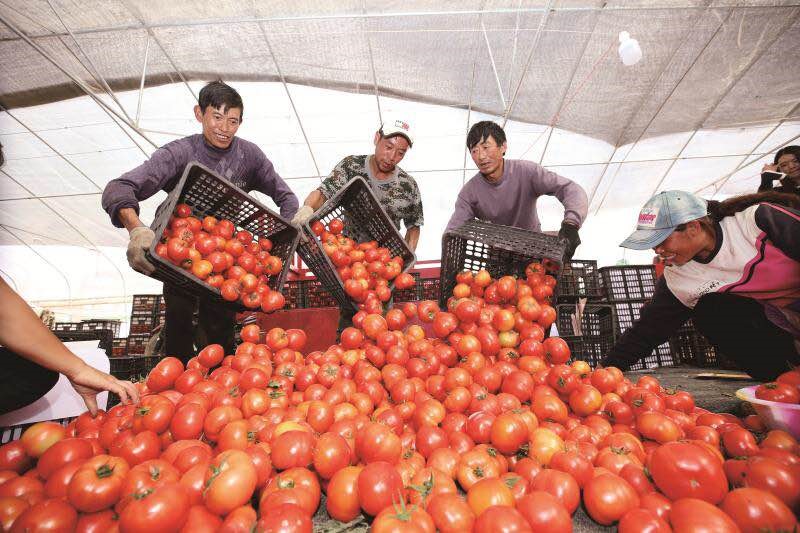 恒大文化艺术有限公司_恒大集团扶贫事迹_恒大集团年度十大公益企业