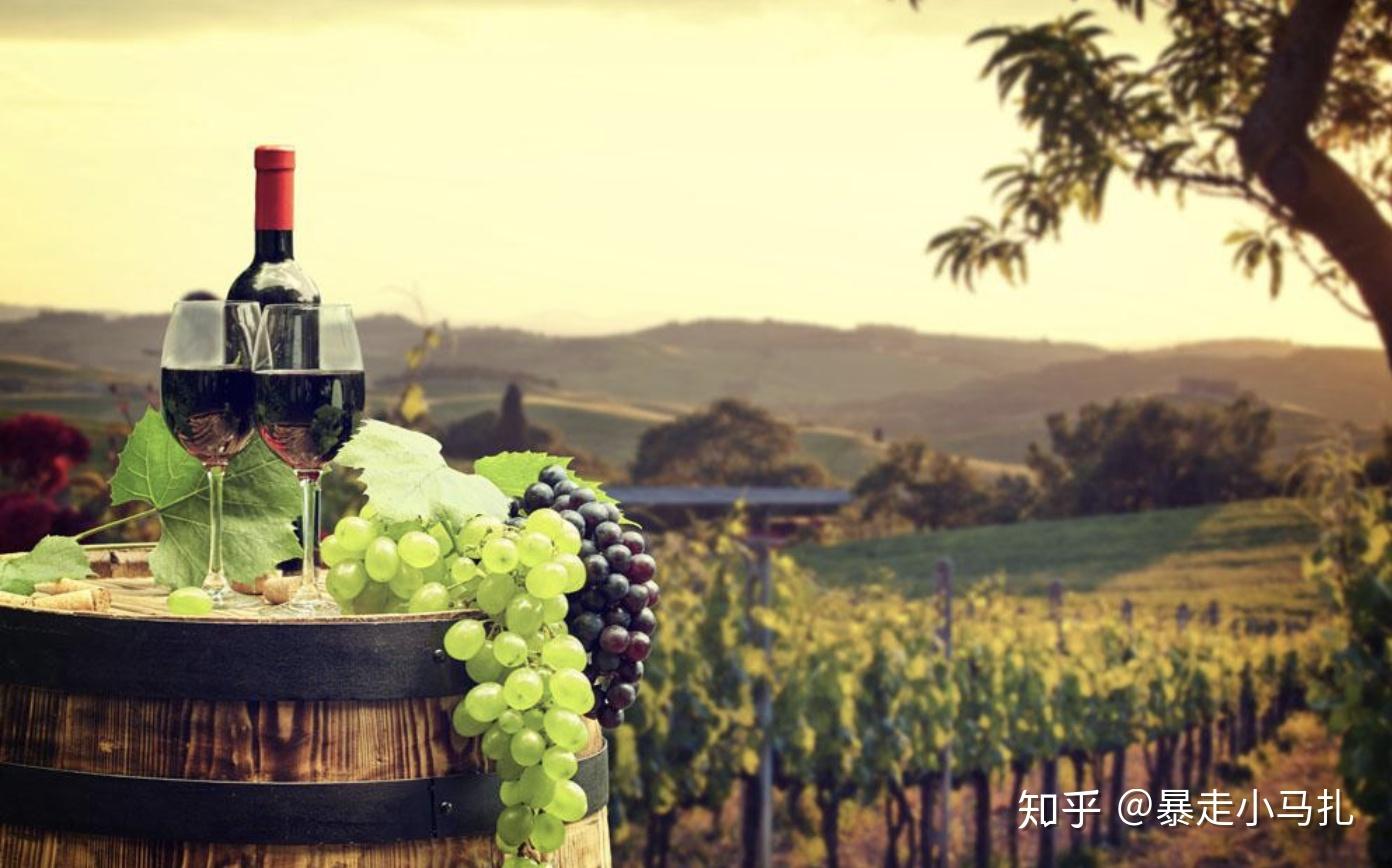 红酒有沉淀物正常吗_红酒推荐新手_挑选合适价位红酒