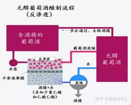 无醇葡萄酒真的不含酒精吗_红酒有沉淀物正常吗_无醇葡萄酒是什么意思