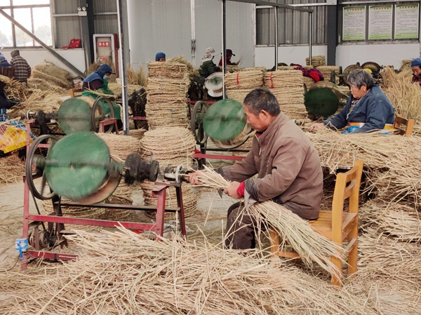生态农业三种模式_安徽省砀山利辛怀远生态农业发展_生态循环农业扶贫模式