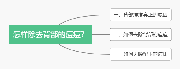 背部痘痘酮康唑洗剂_背部痘痘真菌性毛囊炎_痘痘留下黑色素沉淀