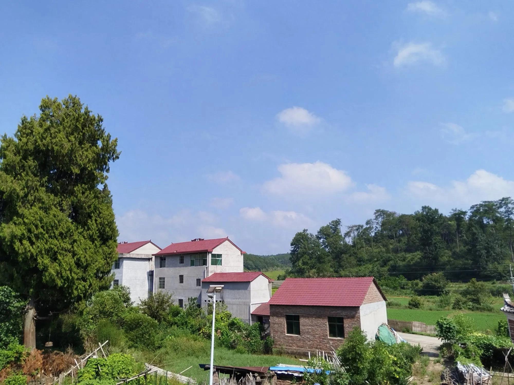 公文中标点符号的用法_初中语文标点符号使用方法_高中语文标点符号考点分析