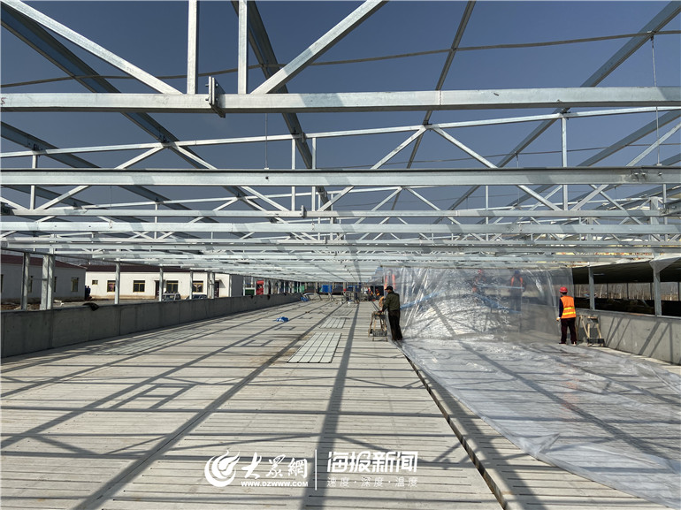 平原县桃园乡村振兴示范区种养循环_生态放养猪_鲁望农业集团生猪养殖厂