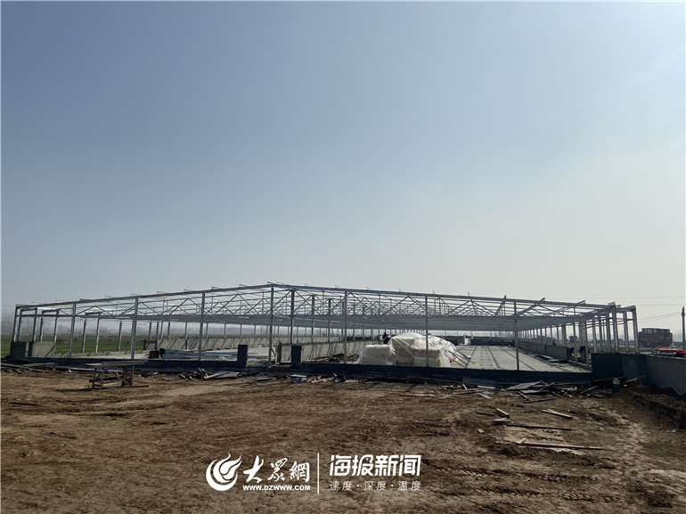 平原县桃园乡村振兴示范区种养循环_生态放养猪_鲁望农业集团生猪养殖厂