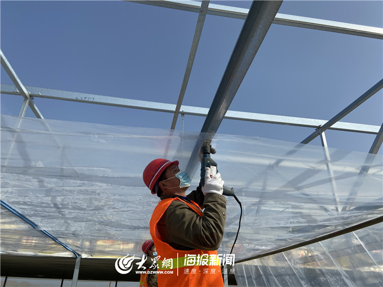 鲁望农业集团生猪养殖厂_生态放养猪_平原县桃园乡村振兴示范区种养循环