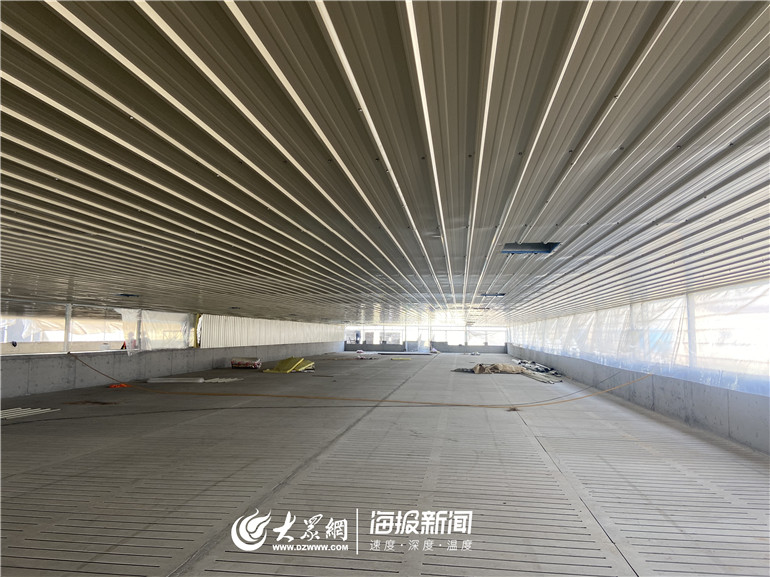 生态放养猪_鲁望农业集团生猪养殖厂_平原县桃园乡村振兴示范区种养循环