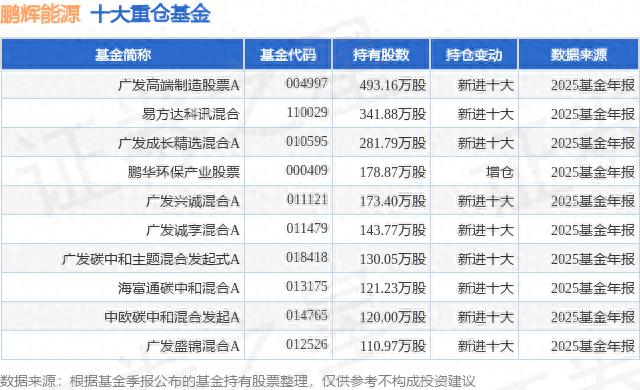 氢能源燃料电池概念股_鹏辉能源钠电池_鹏辉能源锂电池公募基金重仓