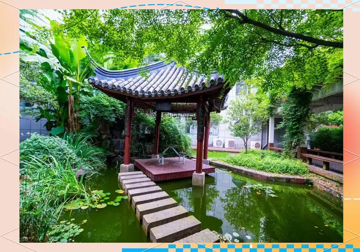 上海市行知中学成就_陶行知中学 怎么样_上海市行知中学历史