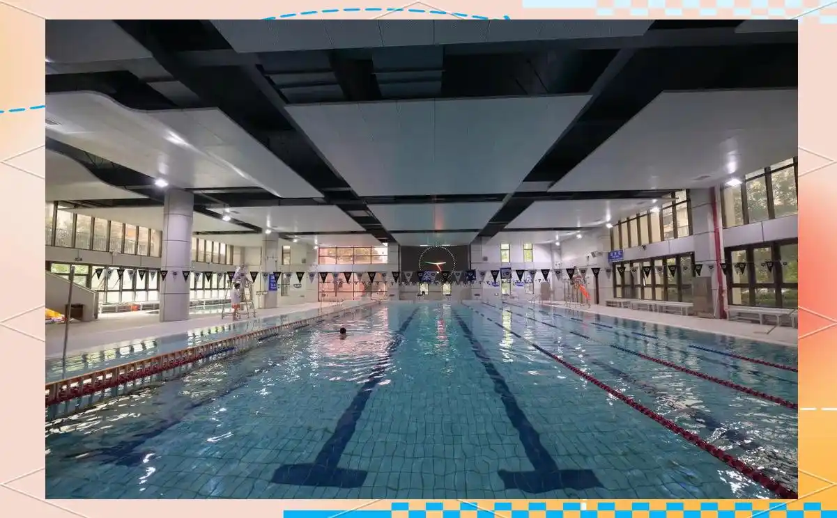 陶行知中学 怎么样_上海市行知中学历史_上海市行知中学成就