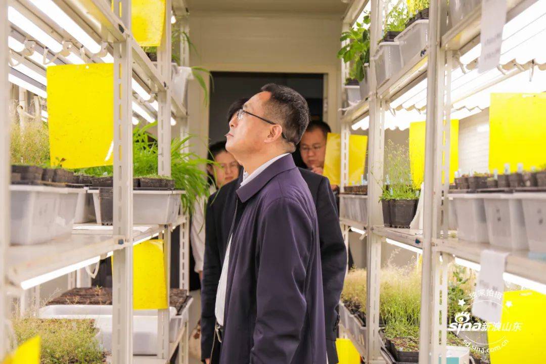 山东新高考招生录取经验_高校与中学合作共建新模式_山东省实验中学 招生