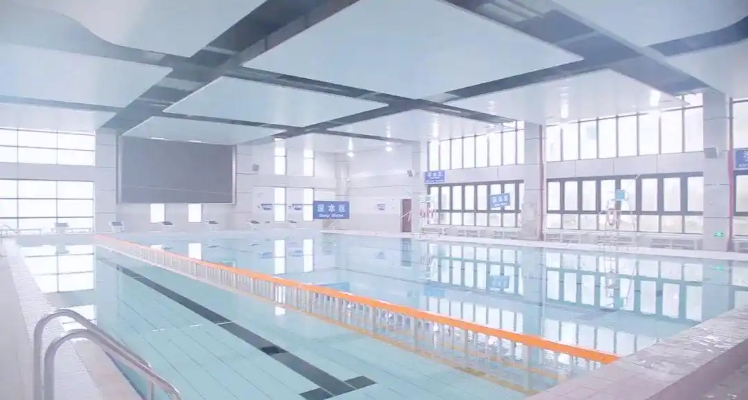 上海市行知中学师资力量_陶行知中学 怎么样_上海市行知中学介绍