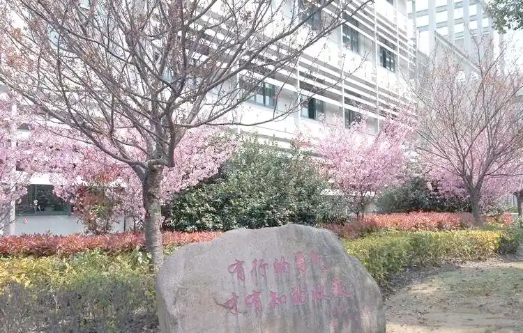 陶行知中学 怎么样_上海市行知中学介绍_上海市行知中学师资力量