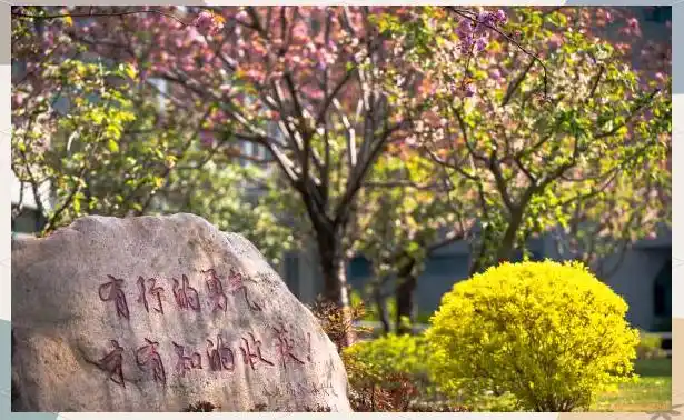 陶行知中学 怎么样_上海市行知中学英才培育计划_上海市行知中学历史与荣誉