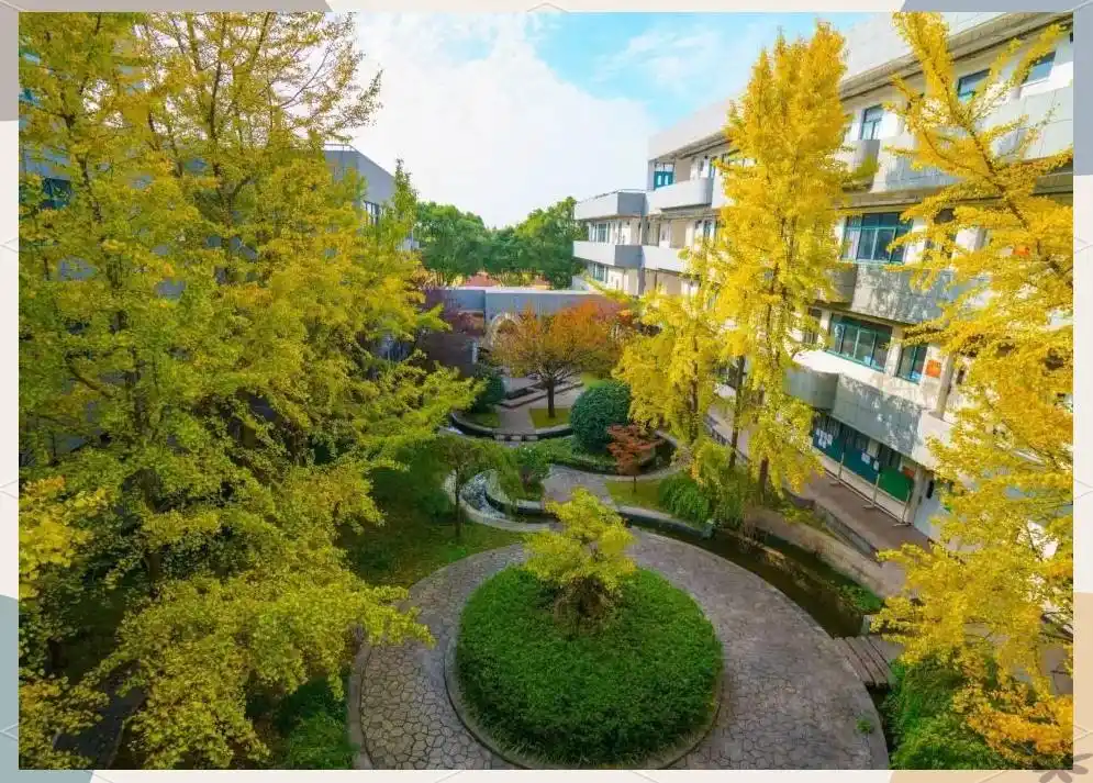 上海市行知中学英才培育计划_陶行知中学 怎么样_上海市行知中学历史与荣誉