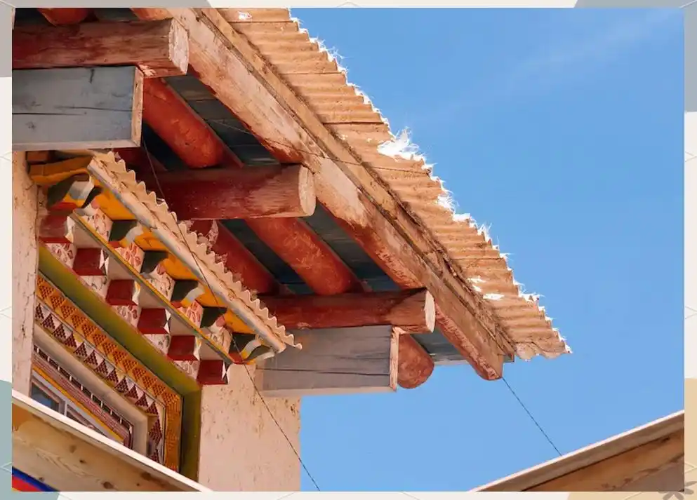 上海市行知中学英才培育计划_陶行知中学 怎么样_上海市行知中学历史与荣誉