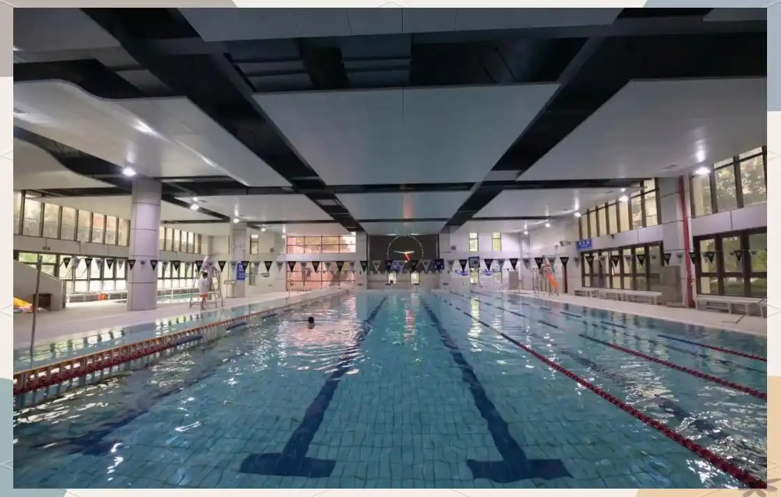 陶行知中学 怎么样_上海市行知中学英才培育计划_上海市行知中学历史与荣誉