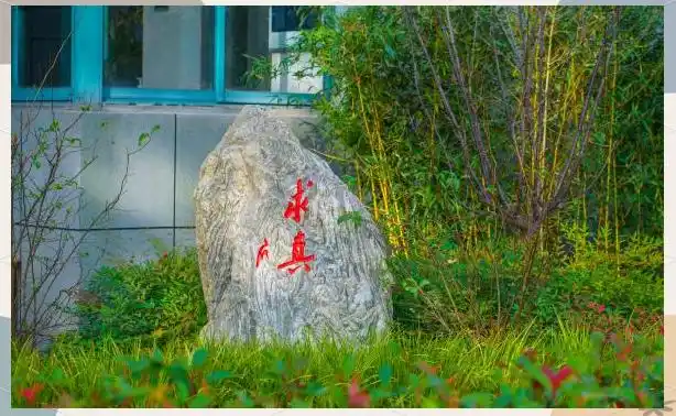 陶行知中学 怎么样_上海市行知中学历史与荣誉_上海市行知中学英才培育计划