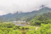 泰宁县大龙乡双坪村：美丽乡村休闲游，值得一去