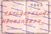 山海关一中全名叫啥？带你了解秦皇岛市山海关第一中学的前世今生