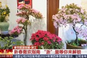 从横店到乌镇，春节浙江必打卡的宝藏地标