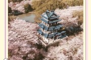 无锡鼋头渚樱花盛开攻略，爱花少女春日赏樱必备