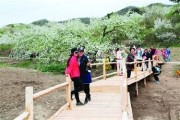 沈阳周边春季赏花好去处：抚顺梨花谷7万人打卡