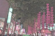 长春文化广场及吉大运动场 几点开放