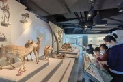 中国旅游日上海超60家景区门票半价，多日有优惠