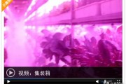 集装箱变农场，智慧种菜案例