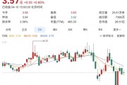 股票海泰发展造假遭ST，4月14日复牌变ST海泰