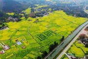 春游成都，12条生态休闲农业线路玩转乡野