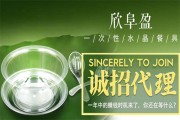 一次性餐具厂利润高吗？揭秘真实成本与赚钱门道