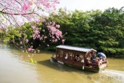 新会农旅新玩法：摘柑晒皮泡温泉，深中通道带旺秋冬游