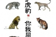 世界野生动植物日：保护虎豹，我们能做什么？