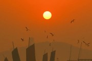太湖鼋头渚怎么玩？春节赏鸥、春天看樱花攻略