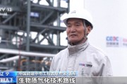 生物质气化发电厂视频：看秸秆树枝如何变绿色燃料