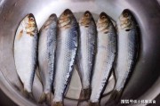 海鲫鱼比一般鲫鱼营养高，10元一斤的家常香煎做法