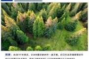 碳交易平台CCER重启临近 企业减排有新选择