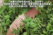 春日粉彩妆公式大揭秘！腮红用久了表面一层怎么办