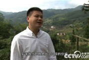 海归小伙靠养羊发家，致富经视频2026全集参考