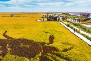 盘锦红海滩景区咋玩？盘锦市红海滩景区电话你知道吗？