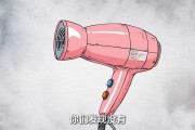 用电吹风讲物理电功率：额定功率和电能计算，中考必懂