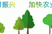 秸秆怎么变废为宝？教你秸秆综合利用技术