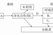 生态系统能量流动选择题及桑基鱼塘能量流动相关解析