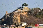 住北戴河生态颐养中心，集发观光园门票能免吗？