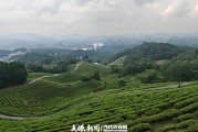 贵阳生态文明建设怎么做？看百花湖畔茶场样本