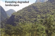 西南石山区生态如何恢复？农业怎样持续发展？